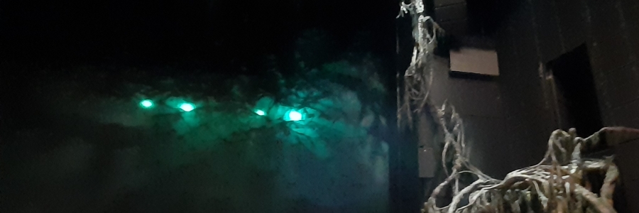 Hobitti näytelmän lavastus, jossa taustalla näkyy mustan kankaan läpi silmiä muistuttavat vihreät valot. Sivustalla vanha ja monioksainen puu.